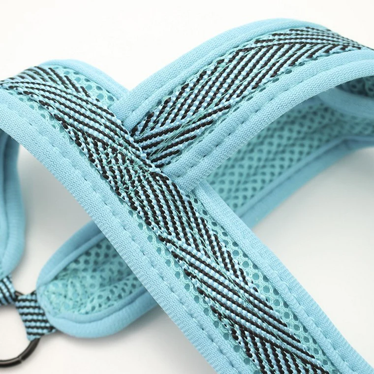 Mesh Lead & Harness, Medium, 3 Asstd Colours - Image 2