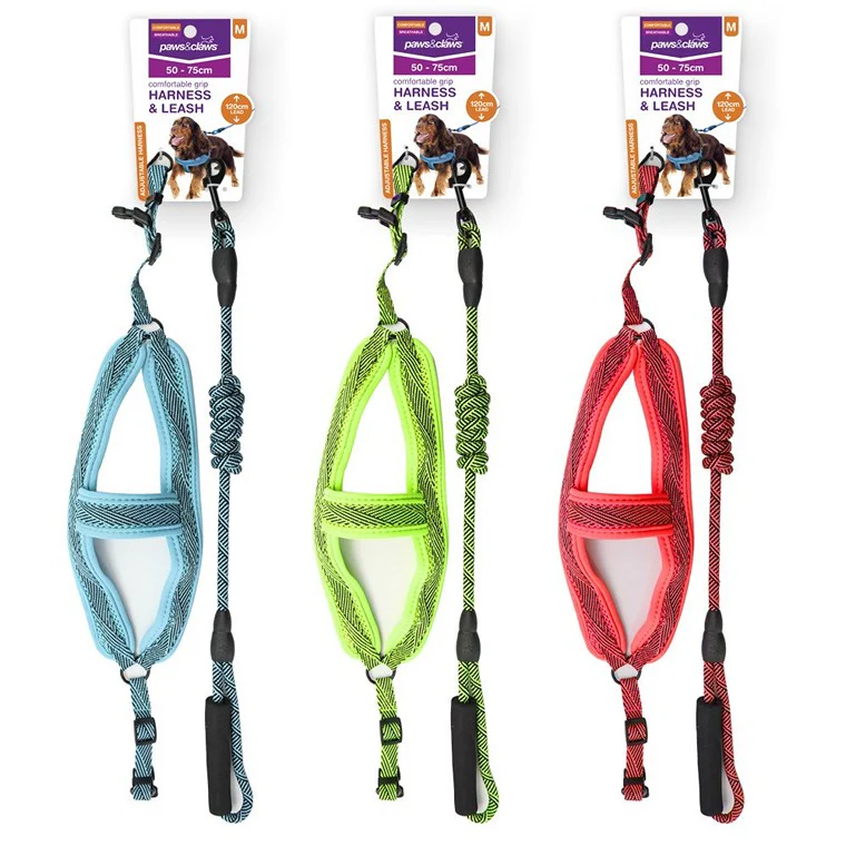 Mesh Lead & Harness, Medium, 3 Asstd Colours - Image 3
